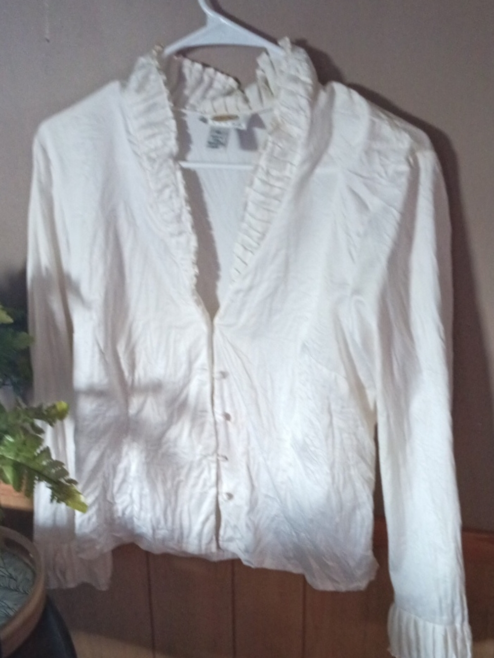 Talbots Cream Ruffled Button-Front Blouse